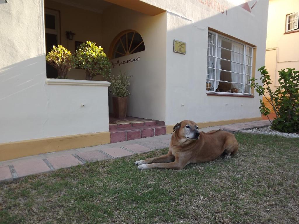 Aestas Bed & Breakfast Knysna Extérieur photo